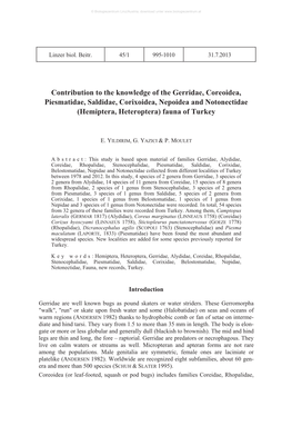Contribution to the Knowledge of the Gerridae, Coreoidea, Piesmatidae, Saldidae, Corixoidea, Nepoidea and Notonectidae (Hemiptera, Heteroptera) Fauna of Turkey