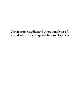 Chromosome Studies and Genetic Analysis of Natural and Synthetic Apomictic Model Species