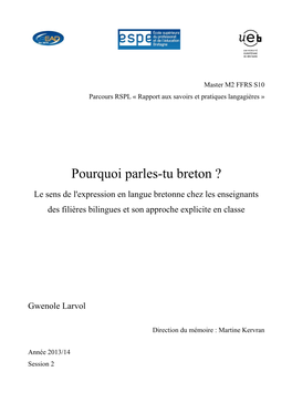 Pourquoi Parles-Tu Breton ?