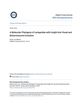 A Molecular Phylogeny of Lampyridae with Insight Into Visual and Bioluminescent Evolution