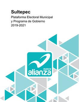 Sultepec Plataforma Electoral Municipal Y Programa De Gobierno 2019-2021