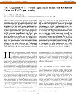 The Organization of Human Epidermis: Functional Epidermal Units and Phi Proportionality