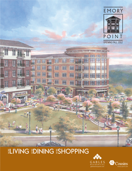 Emory Point Brochure