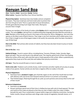 Kenyan Sand Boa Class: Reptilia