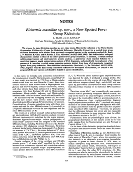 Rickettsia Massiliae Sp. Nov., a New Spotted Fever Group Rickettsia