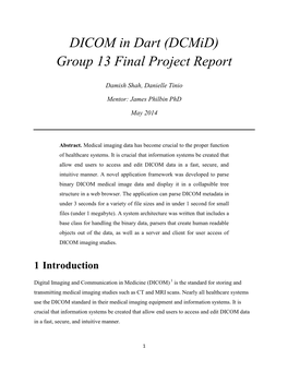 DICOM in Dart (Dcmid) Group 13 Final Project Report