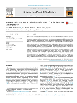 “Pelagibacterales” (SAR11) in the Baltic Sea