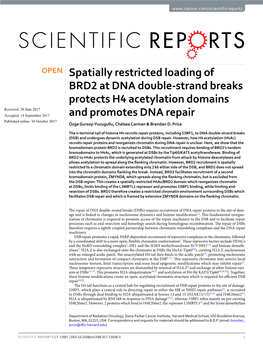 Spatially Restricted Loading of BRD2 at DNA Double-Strand Breaks Protects