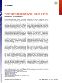 Watching Microtubules Grow One Tubulin at a Time COMMENTARY Nikita Gudimchuka,B and Antonina Roll-Mecakc,D,1