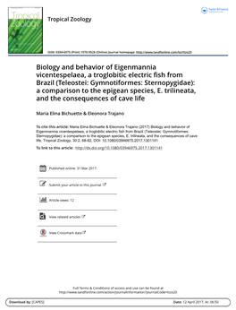 Biology and Behavior of Eigenmannia Vicentespelaea, a Troglobitic Electric