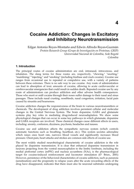 Cocaine Addiction: Changes in Excitatory and Inhibitory Neurotransmission