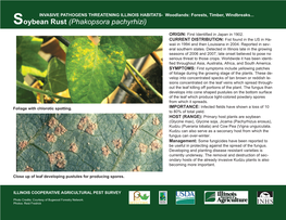 Soybean Rust (Phakopsora Pachyrhizi) ORIGIN: First Identiﬁ Ed in Japan in 1902