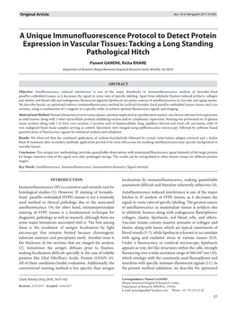 A Unique Immunofluorescence Protocol to Detect Protein Expression in Vascular Tissues: Tacking a Long Standing Pathological Hitch