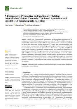 The Insect Ryanodine and Inositol 1,4,5-Trisphosphate Receptors