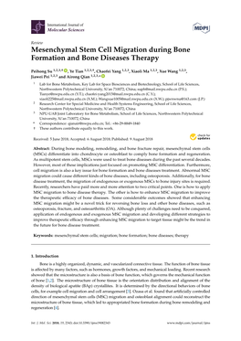 Mesenchymal Stem Cell Migration During Bone Formation and Bone Diseases Therapy