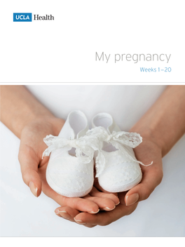 My Pregnancy Weeks 1 —20 Table of Contents