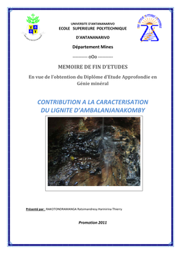 Contribution a La Caracterisation Du Lignite D’Ambalanjanakomby