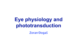 Eye Physiology and Phototransduction