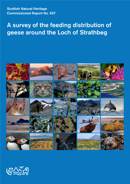 A Survey of the Feeding Distribution of Geese Around the Loch of Strathbeg