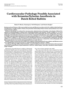 Cardiovascular Pathology Possibly Associated with Ketamine/Xylazine Anesthesia in Dutch Belted Rabbits