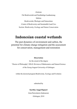 Indonesian Coastal Wetlands