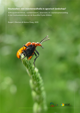 Houtwallen: Een Insectenwalhalla in Agrarisch Landschap?