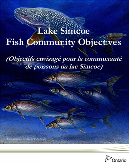 Lake Simcoe Fish Community Objectives