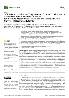 SCRIB Is Involved in the Progression of Ovarian Carcinomas In