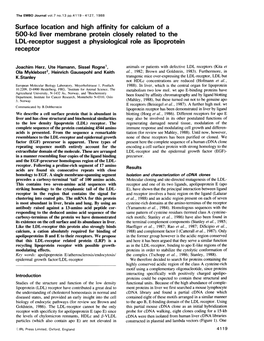 Surface Location and High Affinity for Calcium of a 500-Kd Liver Membrane Protein Closely Related To