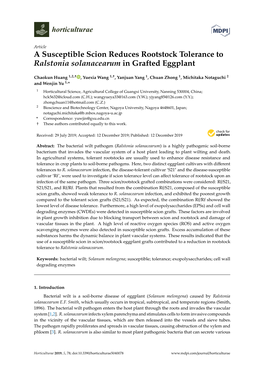 A Susceptible Scion Reduces Rootstock Tolerance to Ralstonia Solanacearum in Grafted Eggplant