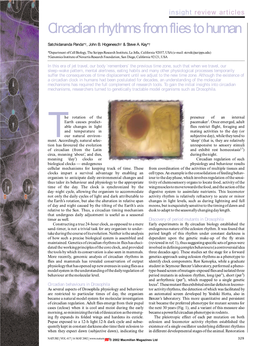 Circadian Rhythms from Flies to Human