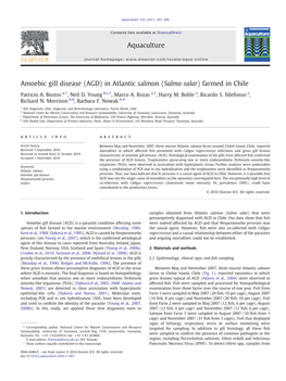 Amoebic Gill Disease (AGD) in Atlantic Salmon (Salmo Salar) Farmed in Chile