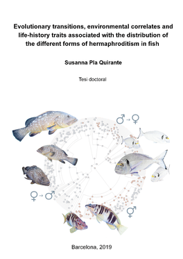 Hermaphroditism in Fish