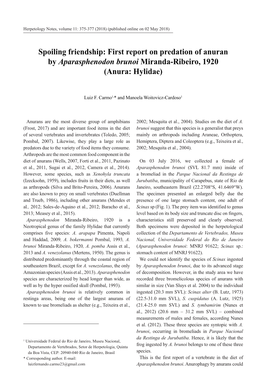 Spoiling Friendship: First Report on Predation of Anuran by Aparasphenodon Brunoi Miranda-Ribeiro, 1920 (Anura: Hylidae)