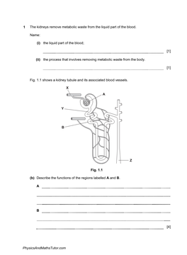 1 the Kidneys Remove Metabolic Waste from the Liquid Part of the Blood. Name