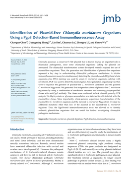 Identification of Plasmid-Free Chlamydia Muridarum Organisms