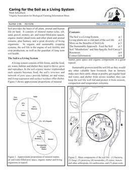 Caring for the Soil As a Living System Mark Schonbeck Virginia Association for Biological Farming Information Sheet