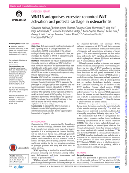 WNT16 Antagonises Excessive Canonical WNT Activation and Protects Cartilage in Osteoarthritis