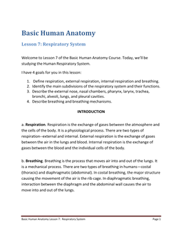 Basic Human Anatomy