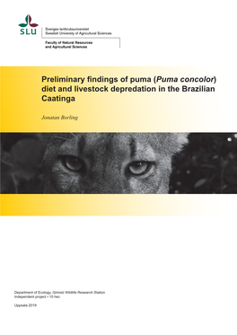 Puma Concolor, Brazil, Caatinga, Prey Selection, Livestock Depredation, Wildlife Conflict, GPS, Clusters