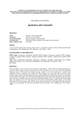 Data Sheet on Agelastica Alni Orientalis