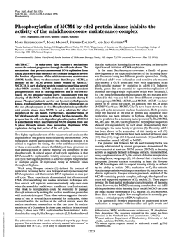 Phosphorylation of MCM4 by Cdc2 Protein Kinase Inhibits the Activity of the Minichromosome Maintenance Complex (DNA Replication/Cell Cycle/Protein Kinases/Xenopus)