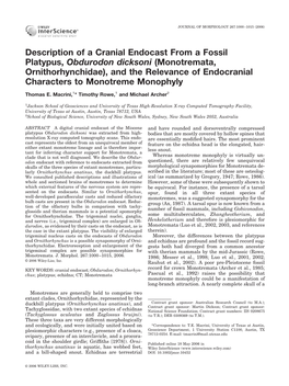 Description of a Cranial Endocast from a Fossil Platypus, Obdurodon Dicksoni