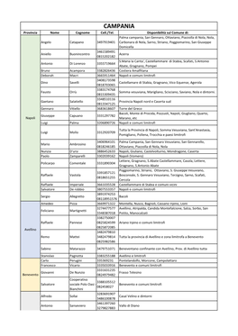 CAMPANIA Provincia Nome Cognome Cell./Tel