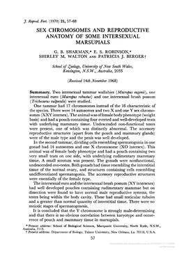 Sex Chromosomes and Reproductive Anatomy of Some Intersexual Marsupials G