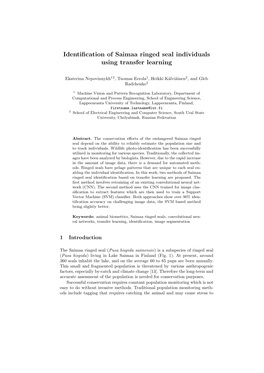 Identification of Saimaa Ringed Seal Individuals Using Transfer Learning