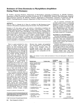 Resistance of Citrus Rootstocks to Phytophthora Citrophthora During