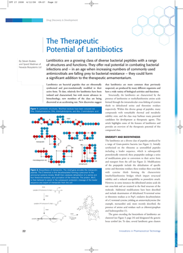 The Therapeutic Potential of Lantibiotics