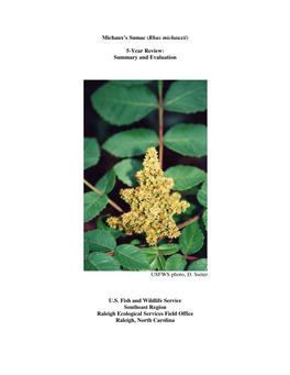 Michaux's Sumac (Rhus Michauxii) 5-Year Review: Summary And