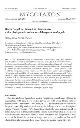 Marine Fungi from Sarushima Island, Japan, with a Phylogenetic Evaluation of the Genus Naufragella